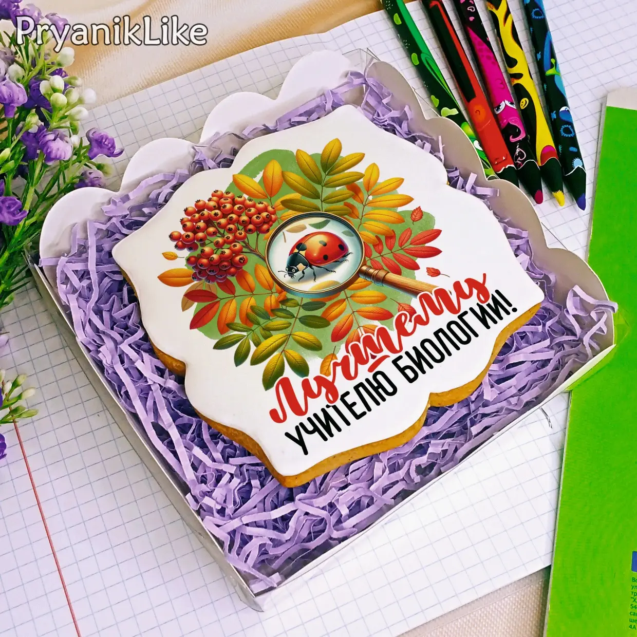 День учителя Коллекция предметникам 01 2024